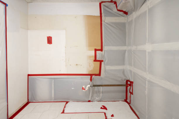 Best Basement Mold Removal  in Coral Springs, FL