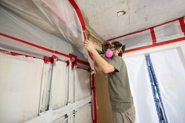 Best Crawl Space Mold Remediation  in Coral Springs, FL