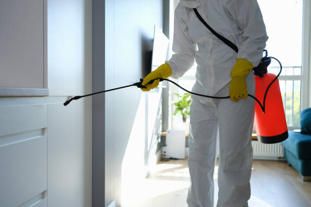 Best Emergency Mold Remediation  in Coral Springs, FL