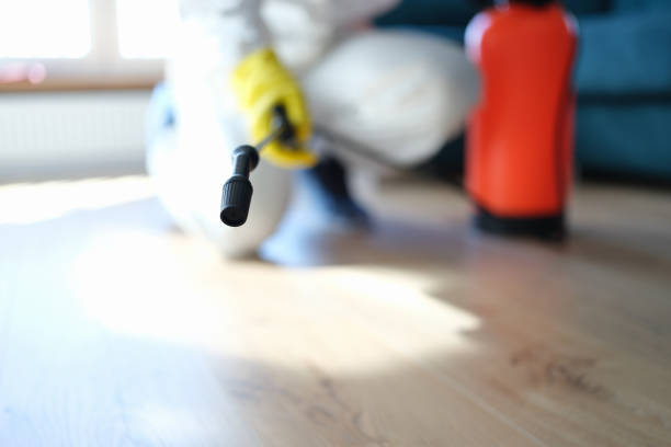Coral Springs, FL Mold Removal Company