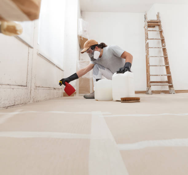 Reliable Coral Springs, FL Mold Removal Solutions