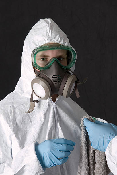 Best Black Mold Removal  in Coral Springs, FL
